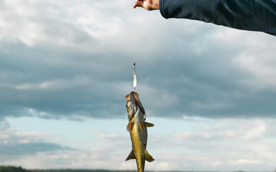 Bacalao pescado con anzuelo: la decisión que sostiene 40 años de Bacalao Barquero